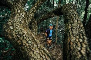 BIB: 
                            <button type="button" onclick="openModal(25392691)" class="btn btn-primary btn-sm float-right btn-popup" data-toggle="modal" data-target=".modal-high-quality">
                        <i class="fas fa-shopping-cart"></i> Add to Cart
                    </button>
                                            <button type="button" onclick="isThisMe(25392691, true)" class="btn btn-success btn-sm float-right btn-popup btn-isme hidden" data-toggle="tooltip" data-placement="bottom" title="นี่คือรูปของคุณใช่ไหม คลิกที่นี่เพื่อเอาเข้าอัลบั้ม">
                        <i class="fas fa-plus"></i> Add to album
                    </button>
                    <button type="button" onclick="isThisMe(25392691, false)" class="btn btn-warning btn-sm float-right btn-popup btn-isnotme hidden">
                        <i class="fas fa-ban"></i> Remove from album
                    </button>